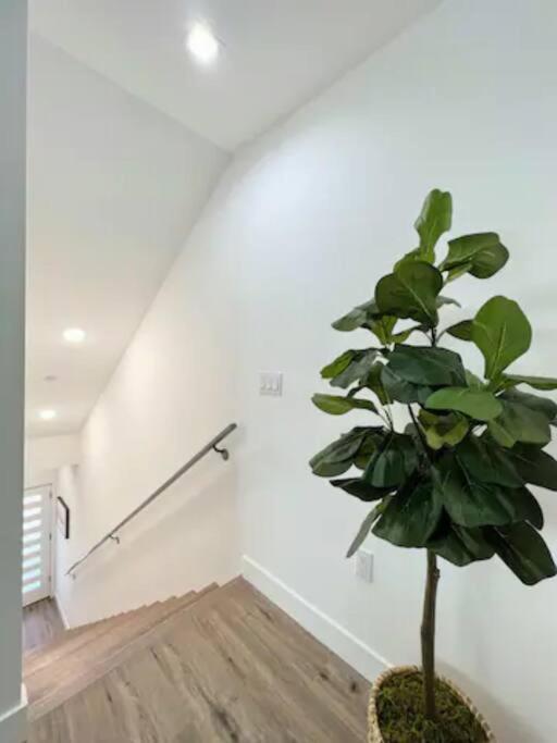 4Br Townhouse In Koreatown Los Angeles Zewnętrze zdjęcie